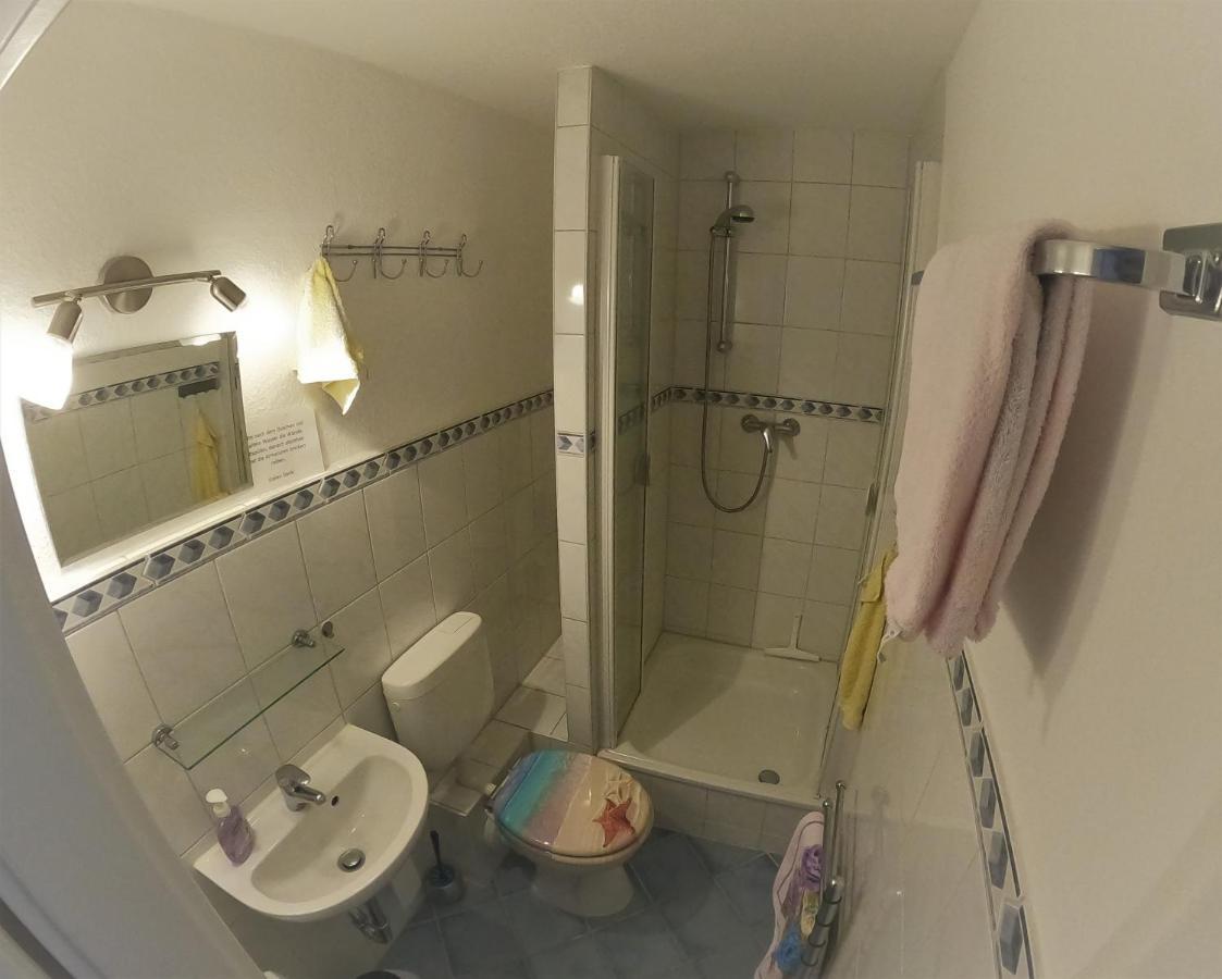 Neukieritzsch Ferienwohnung Haubner المظهر الخارجي الصورة